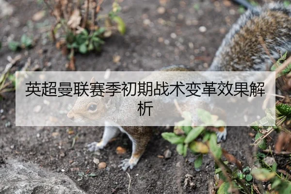 英超曼联赛季初期战术变革效果解析